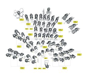 Example Symphotec Stage Layout